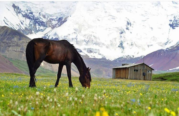 Pamir Nomad Yurt Camp Hotel Kara-Kavak Exterior foto